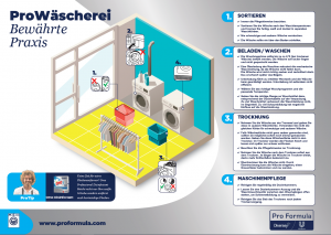 Waescherei