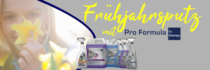 Website Banner Fruehjahrsputz Beitrag
